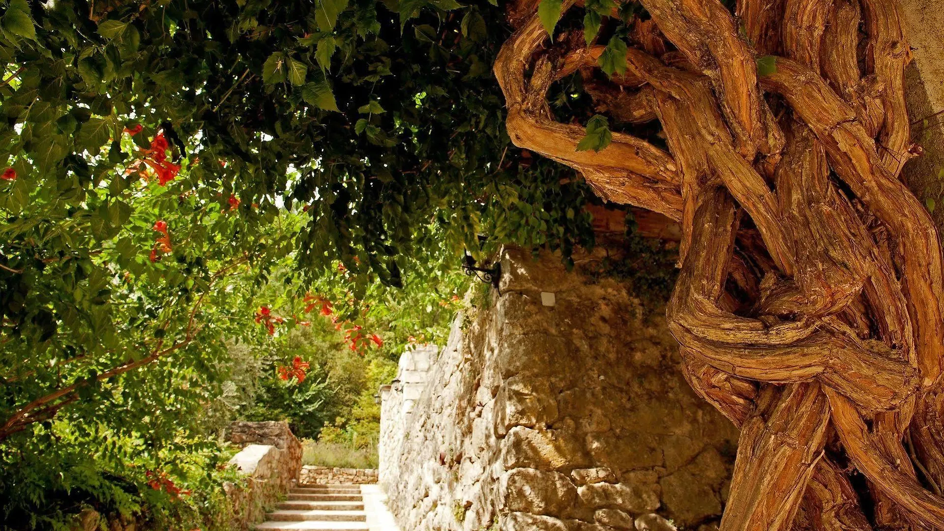 Logis Hotel Restaurant Le Domaine De L'Eau Vive Largentiere 3*,